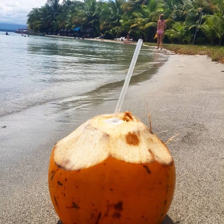 Bocas Del Toro, Panama... A little Slice of Paradise: photo 4