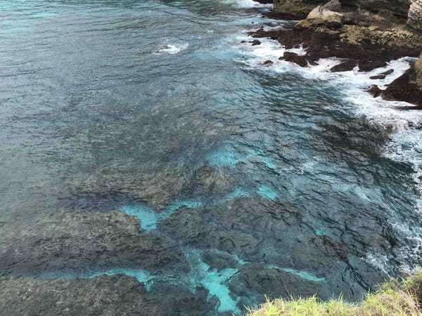 Places To See On The Nusa Islands: photo 17