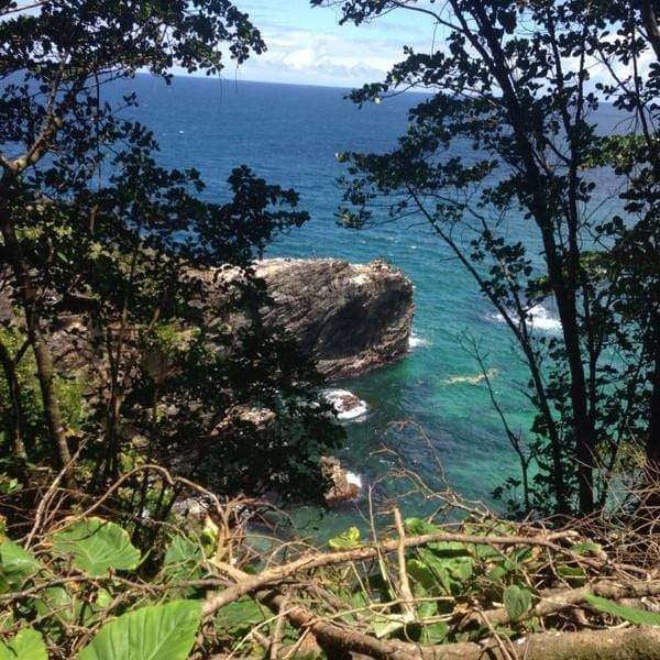 Conquering Paria the Perilous & Turtle Rock: Trinidad and Tobago