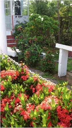 Puting Krus in Cardona, Rizal: photo 2