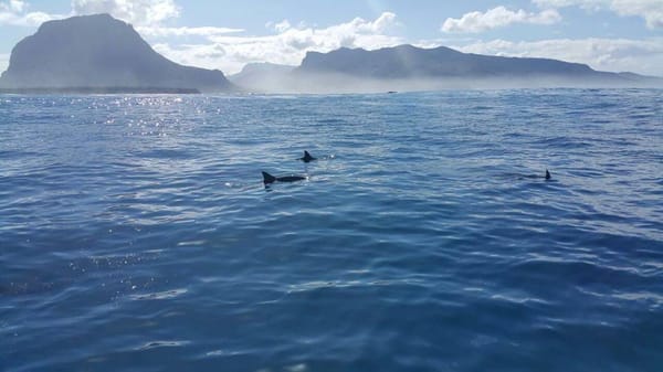 Mauritius: Somewhere In the Very Middle of the Ocean: photo 15