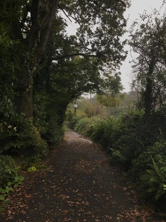 Ireland: Explore with The Waterford Greenway: photo 3