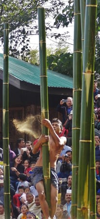 Welcome to Nagaland's Hornbill Festival: photo 19