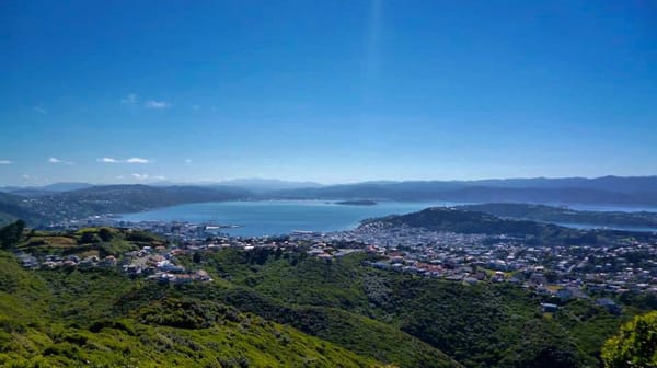 Wellington, New Zealand: A Travellers Guide To The Coolest Little Capital: photo 3