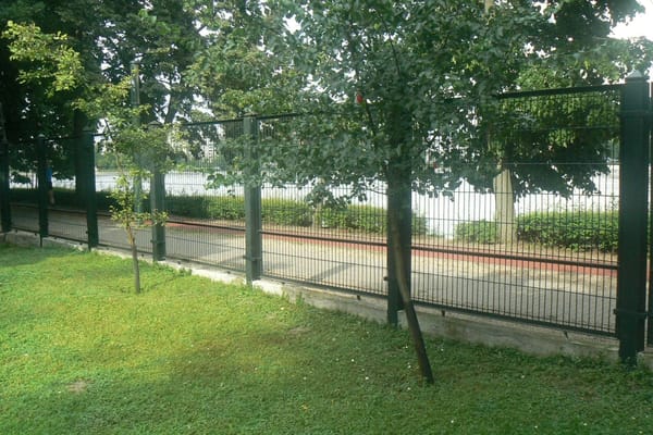Take a walk in the parks of Budapest: photo 2