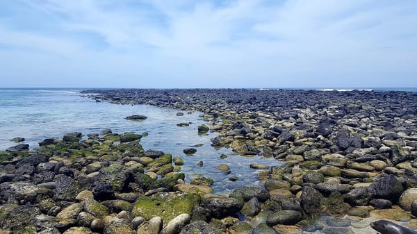 Isla San Cristobal, Galapagos – The full experience for less: photo 1
