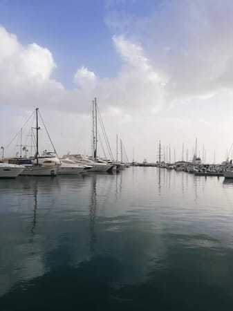 Things to do in Limassol, Cyprus: photo 2