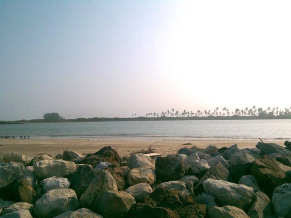 Tamiahua: The Mexican Capital of Seafood.: photo 5