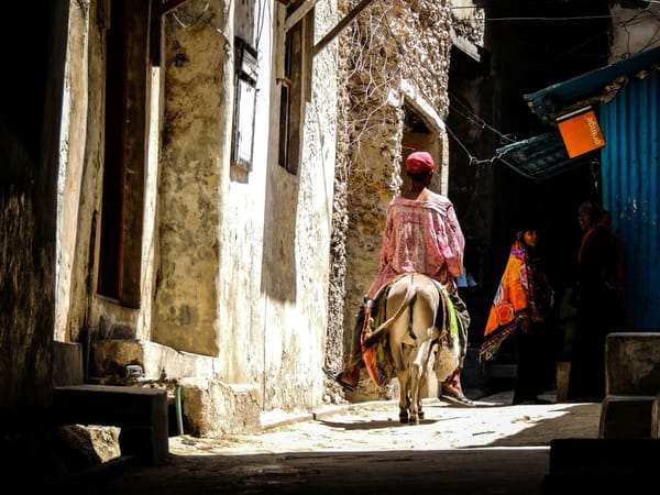 KENYA: TIPS ON EXPLORING LAMU: photo 2