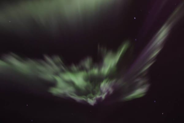 Trondheim, Norway: Northern lights and dog-sledding: photo 11