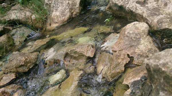 Affordable Hiking Experience in Rizal: photo 2