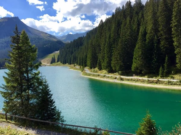 Experiencing the Swiss Alps: photo 6