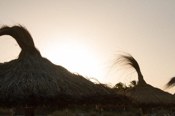 Why Dar-es-Salaam should be on your travel list?: photo 6