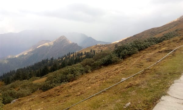 The Soulful Trip to Chopta Tungnath in Uttarakhand: photo 7