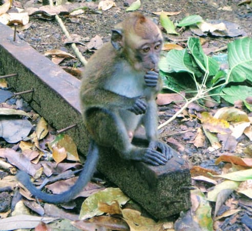 5 Reasons to Visit Palawan, Philippines: photo 3