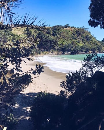Waiheke Island: Slow down, you are here! This is paradise!: photo 2
