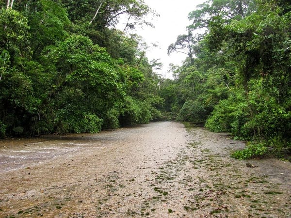 San Roque De Cumbaza a hidden paradise in the Peruvian Amazon.: photo 5