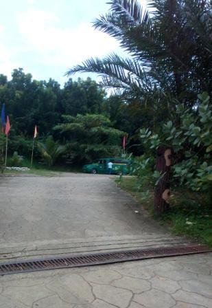 Paradise Ranch: Conservation Park in Clark Pampanga, Philippines: photo 29