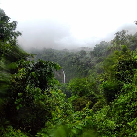 COSTA RICA: Central and Pacific Coast: photo 1