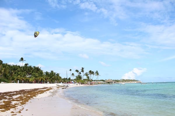 Playa Blanca beach in the Dominican Republic.: photo 8