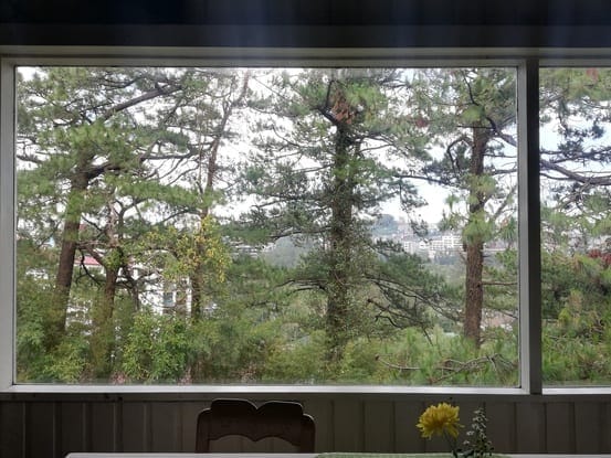 Baguio: What to see and do all-year round: photo 1
