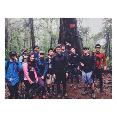 Mt. Makling: A Hike to the Legendary Mountain of Laguna: photo 2
