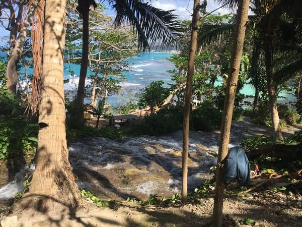 8 Things to do in Ocho Rios: photo 2