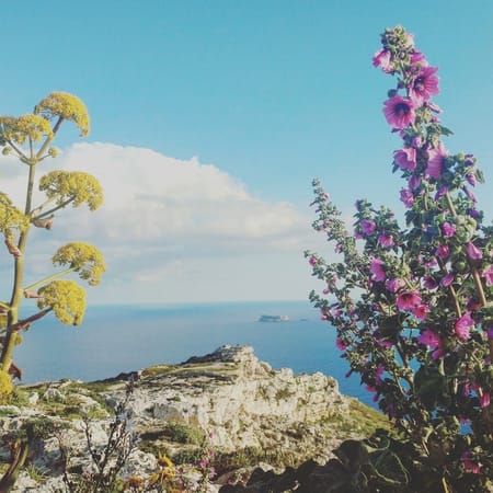 Malta - 4 Locations for a Perfect Walk: photo 6