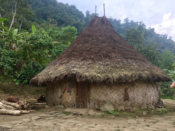 What to Expect from the Trek to the Lost City of Santa Marta: photo 9