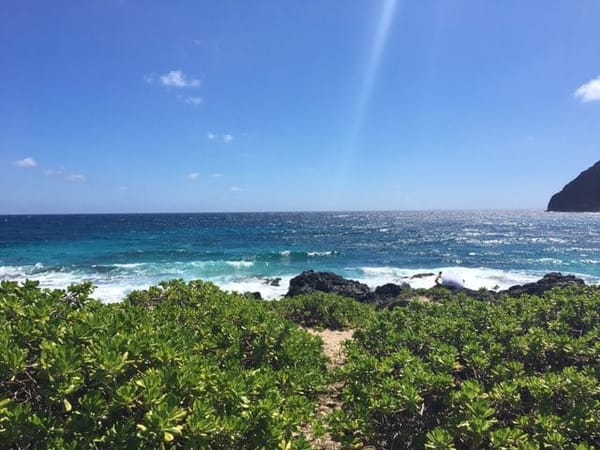 Best things to do in Oahu Hawaii: photo 3