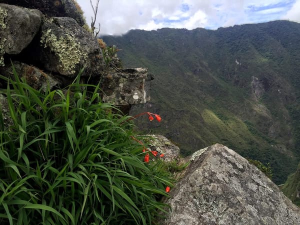 Visit  Machu Picchu-Wonder of the World: photo 16