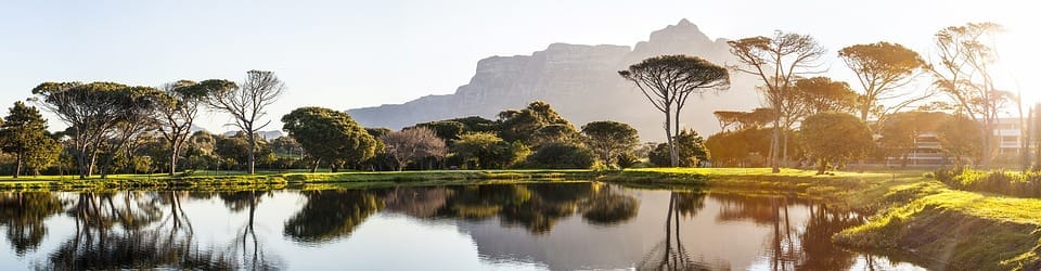 The 10 things in Cape Town you have to experience