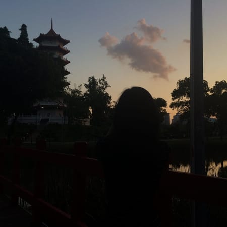 Singapore: Get Closer to Nature: photo 36