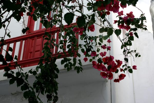 Mykonos Greece - A heaven on earth: photo 7