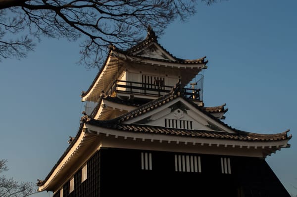 A Whimsical Experience in Hamamatsu, Japan: photo 36