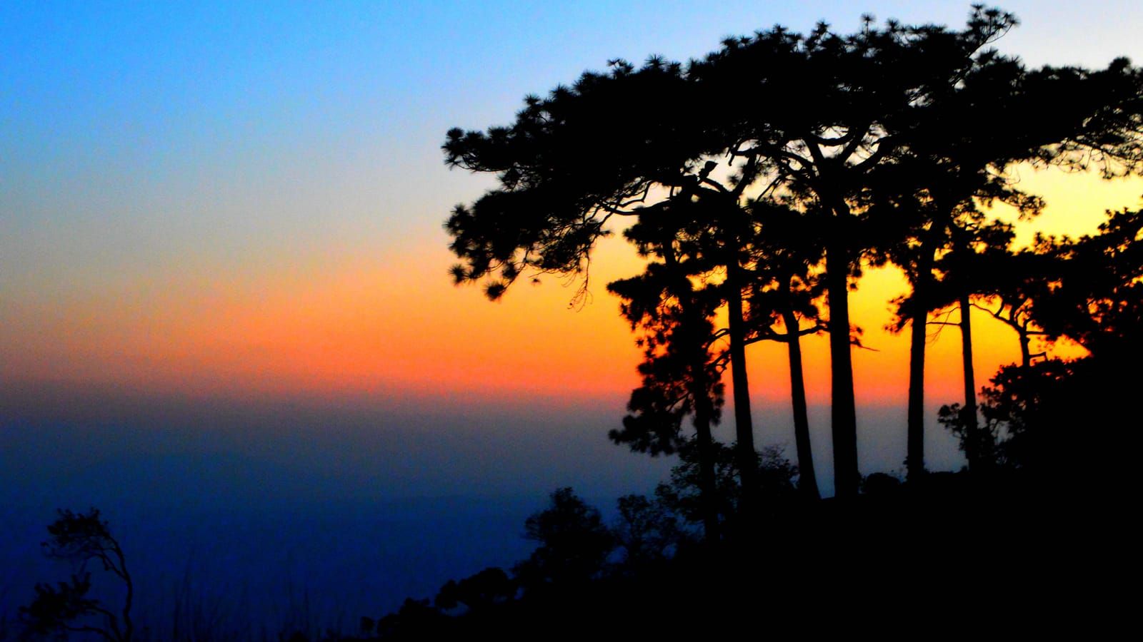 Off the Beaten Track in Thailand: Phu Kradeung National Park