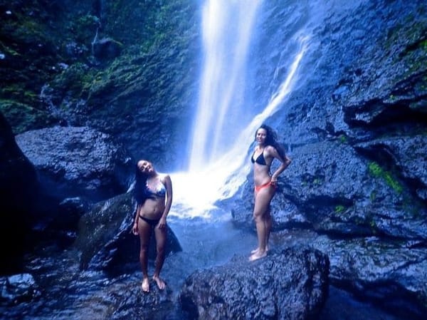 Amazing Abaca: photo 1