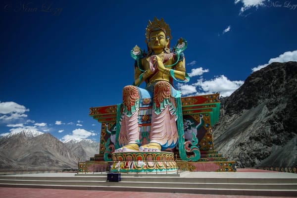Ladakh: exploring the stunning mountain region of India: photo 8