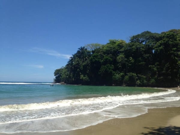High on PURA VIDA in Costa Rica!: photo 1