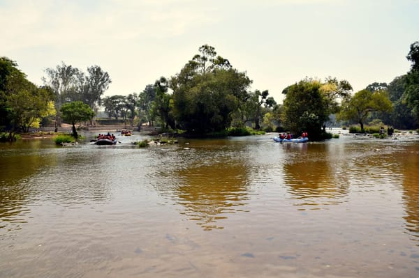 COORG – The Scotland of India!: photo 17