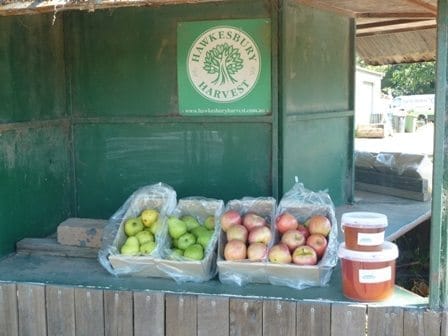 BACK TO NATURE – SYDNEY’S FARM GATE TRAIL: photo 5
