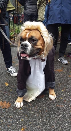 Living in New York City: photo 1