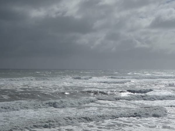 New Zealand: From coast to coast via Arthur: photo 3