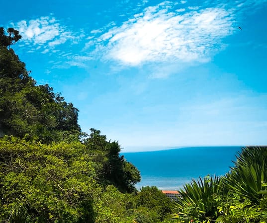 Da Nang: City of lights and beautiful beaches: photo 1