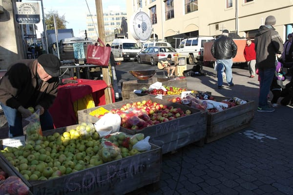 My Tasmanian Winter: Hobart: photo 14
