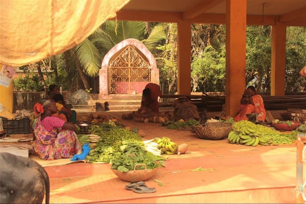 Travelling pregnant: 3 months in India: photo 6