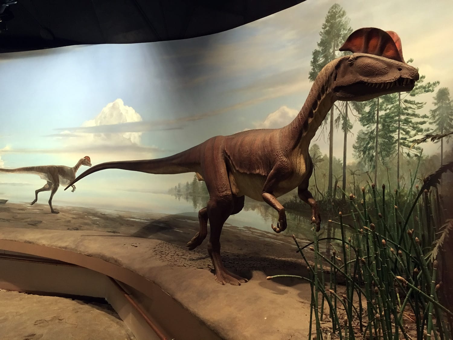 Tracking Dinosaurs in the Connecticut Valley