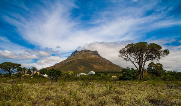 Stellenbosch, South Africa: What to do, where to eat and more: photo 1