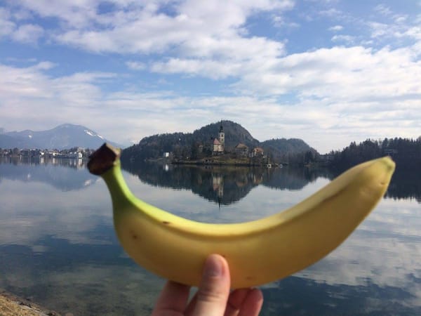 Slovenia - Lake Bled: photo 4
