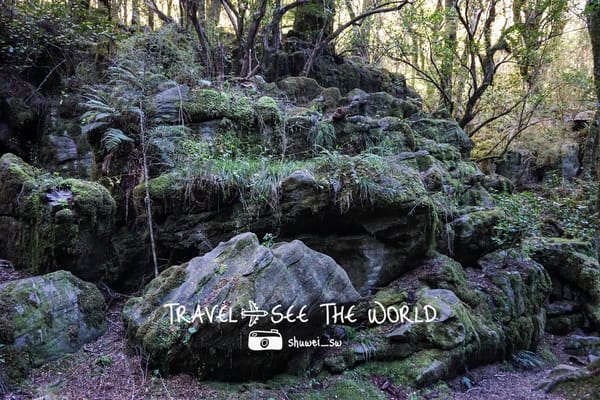 New Zealand : Motueka: photo 7